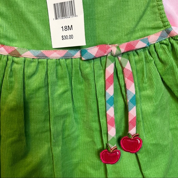 NWT Chantilly Place Green & Pink Dress size 18 months - Picture 5 of 5